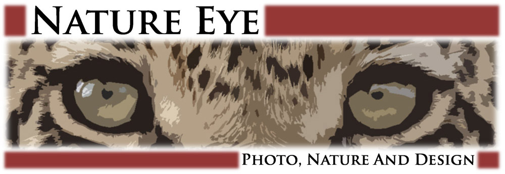 Nature Eye Logo